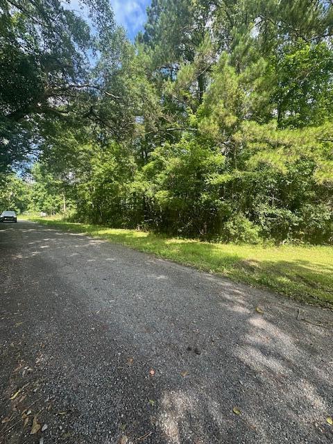 0 Duberry Lane Ridgeville, SC 29472 - Photo 2 of 11 IMG_3340