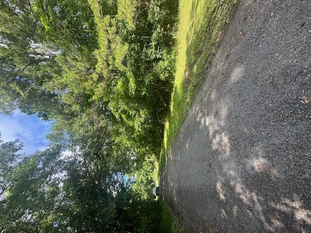 0 Duberry Lane Ridgeville, SC 29472 - Photo 3 of 11 IMG_3341