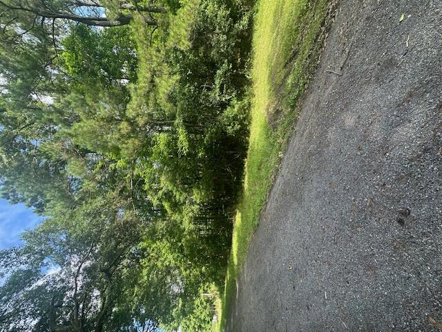 0 Duberry Lane Ridgeville, SC 29472 - Photo 4 of 11 IMG_3342