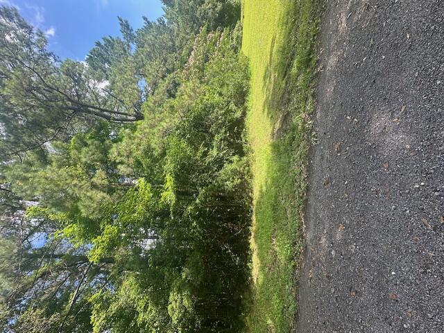 0 Duberry Lane Ridgeville, SC 29472 - Photo 5 of 11 IMG_3343