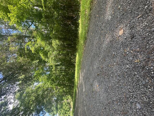 0 Duberry Lane Ridgeville, SC 29472 - Photo 6 of 11 IMG_3344