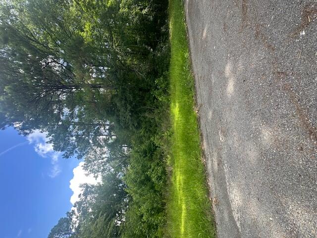 0 Duberry Lane Ridgeville, SC 29472 - Photo 8 of 11 IMG_3346