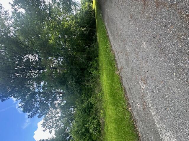 0 Duberry Lane Ridgeville, SC 29472 - Photo 9 of 11 IMG_3347