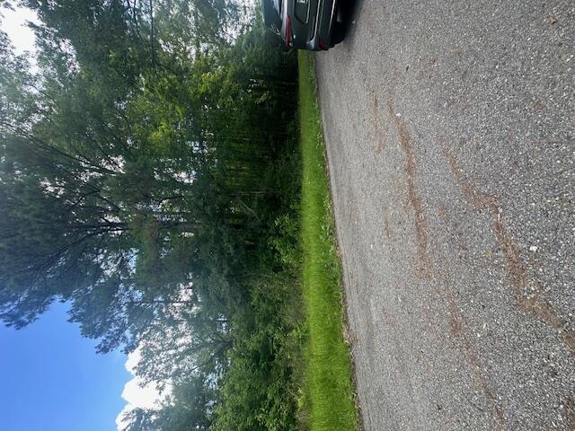 0 Duberry Lane Ridgeville, SC 29472 - Photo 10 of 11 IMG_3348