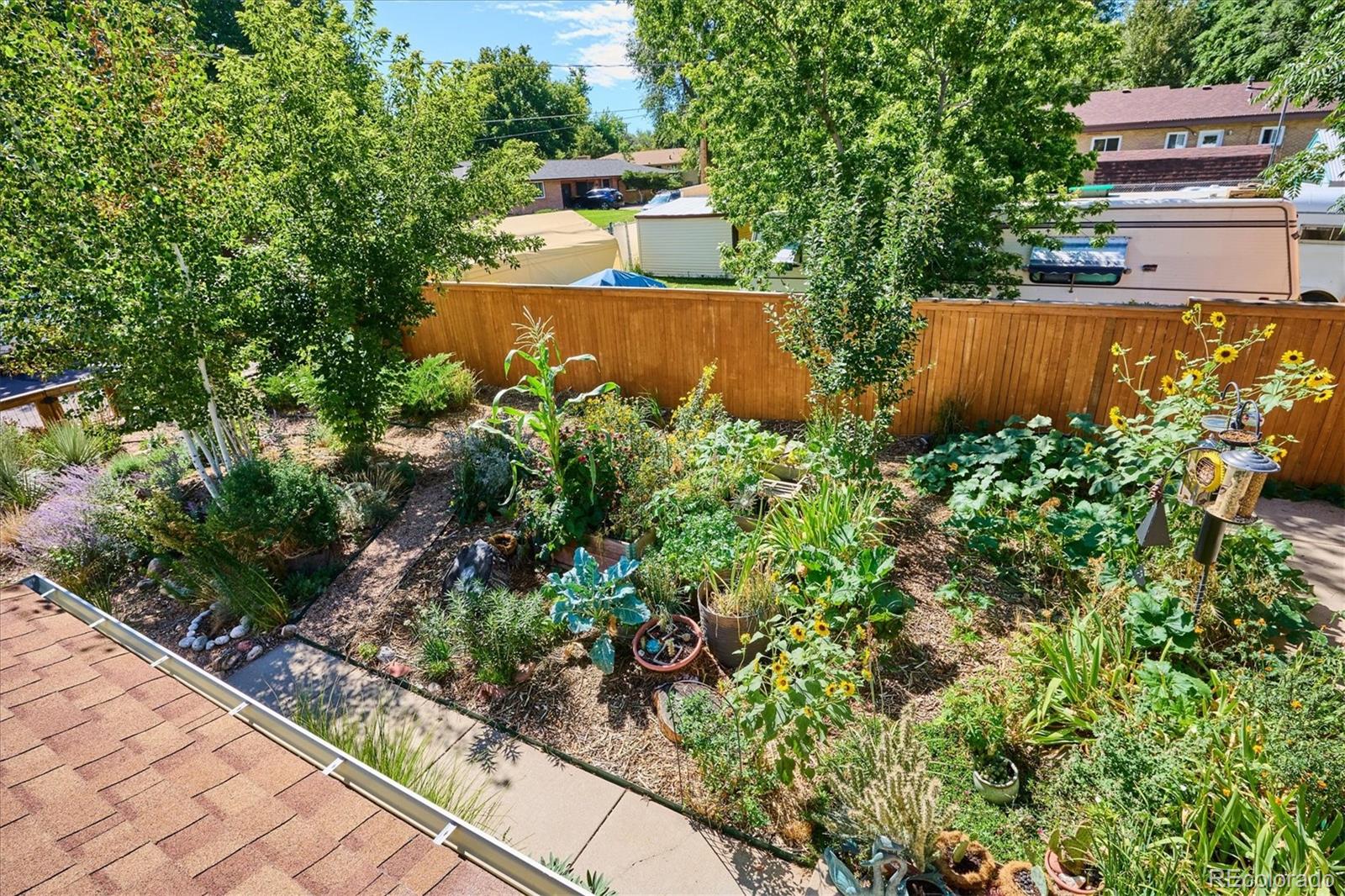 3559 Ingalls Street Wheat Ridge, CO 80033 - Photo 17 of 45 Gallery Image 17