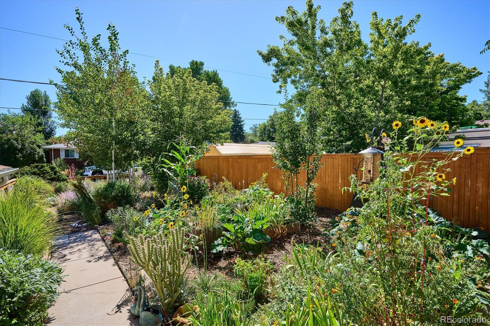 3559 Ingalls Street Wheat Ridge, CO 80033 - Photo 9 of 45 Gallery Image 9