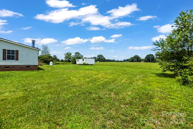 a view of a big yard with plants and a large tree