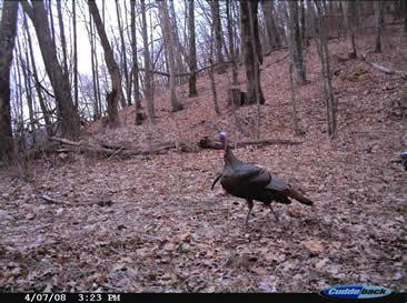 3 Umber Fork Road Campton, KY 41301 - Photo 8 of 22 Photo 8