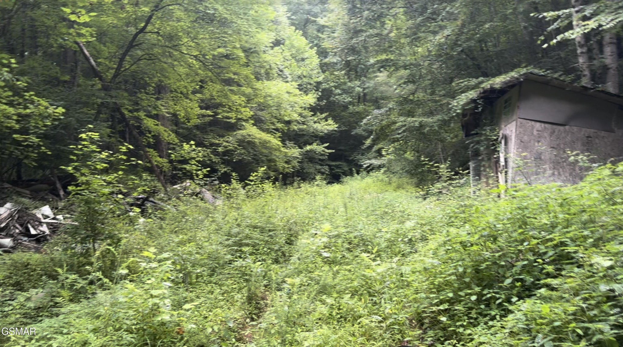 1210 Laurel Lick Road Pigeon Forge, TN 37862 - Photo 15 of 15