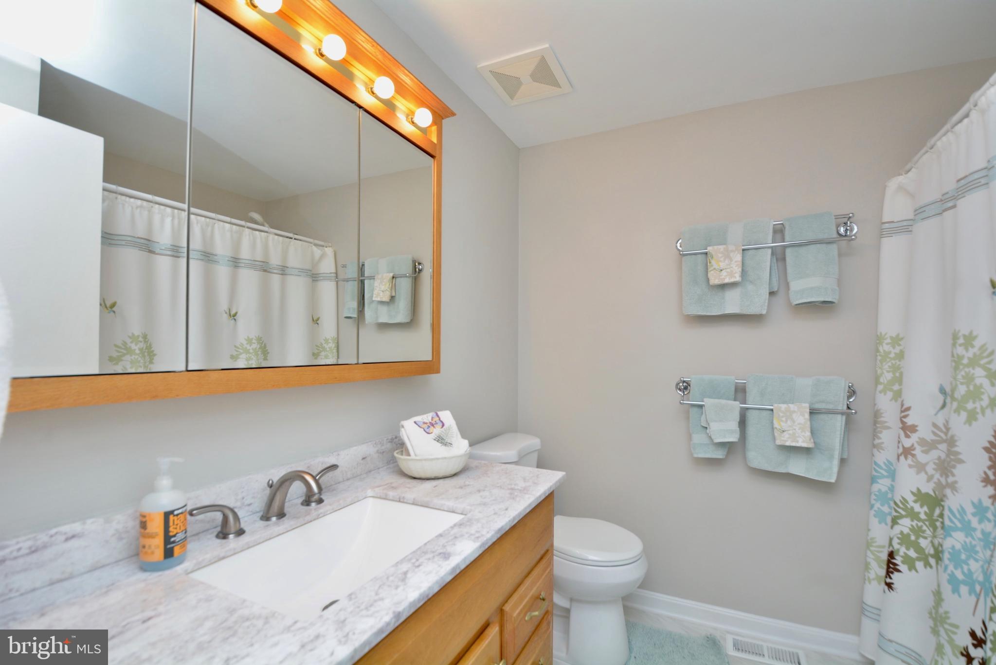 7905 Frye Road Alexandria, VA 22309 - Photo 29 of 55 UPPER HALL FULL BATH