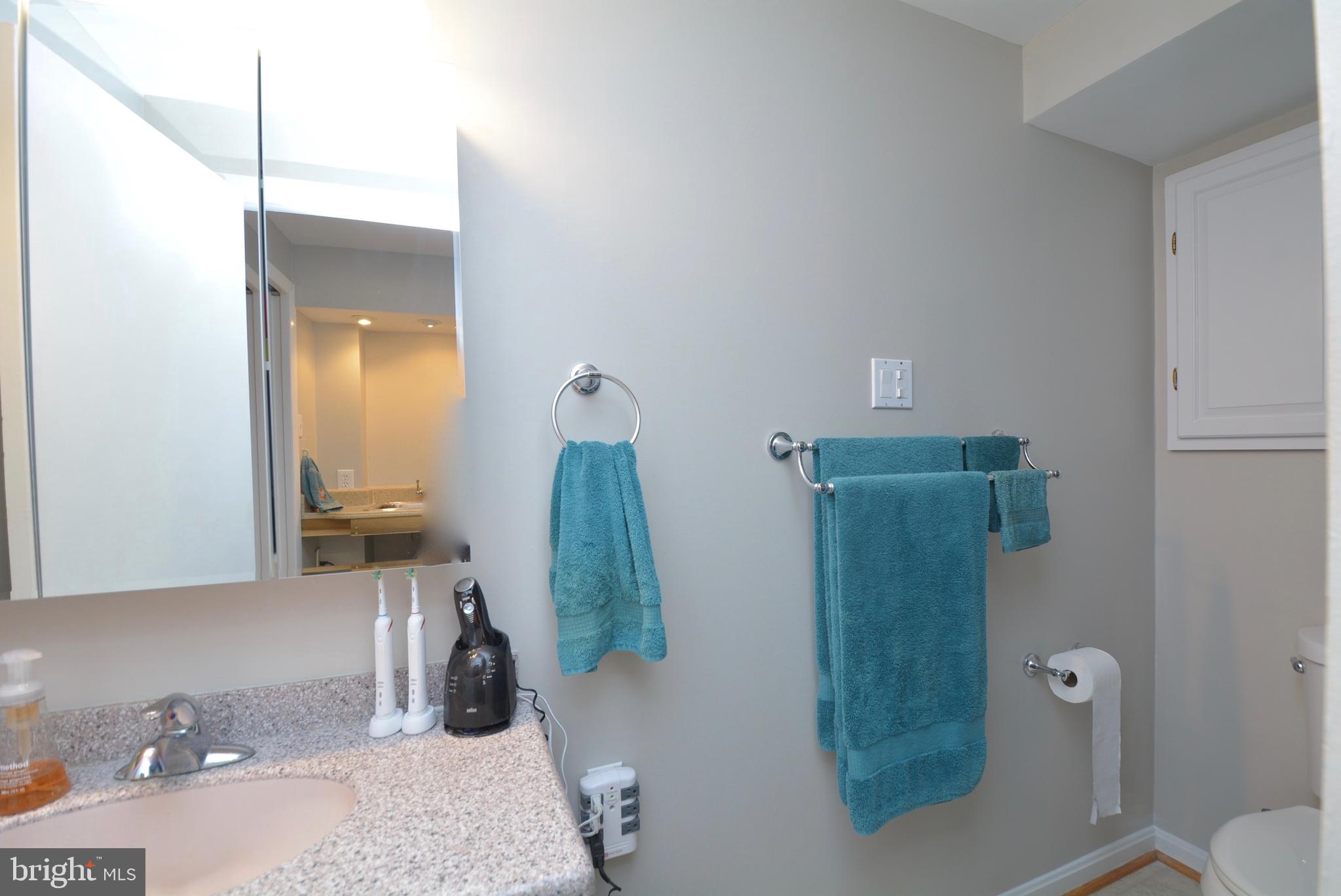 7905 Frye Road Alexandria, VA 22309 - Photo 42 of 55 FULL BATH ON LOWER LEVEL