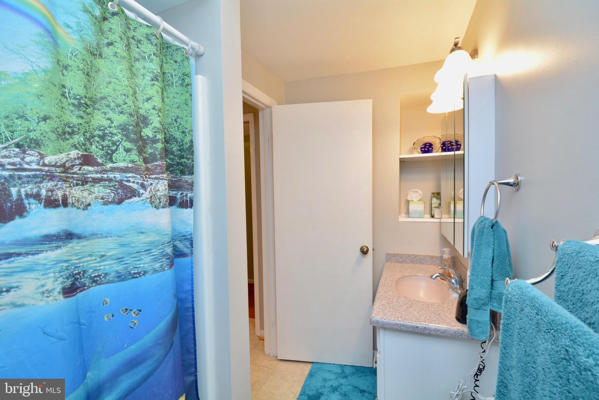 7905 Frye Road Alexandria, VA 22309 - Photo 43 of 55 FULL BATH