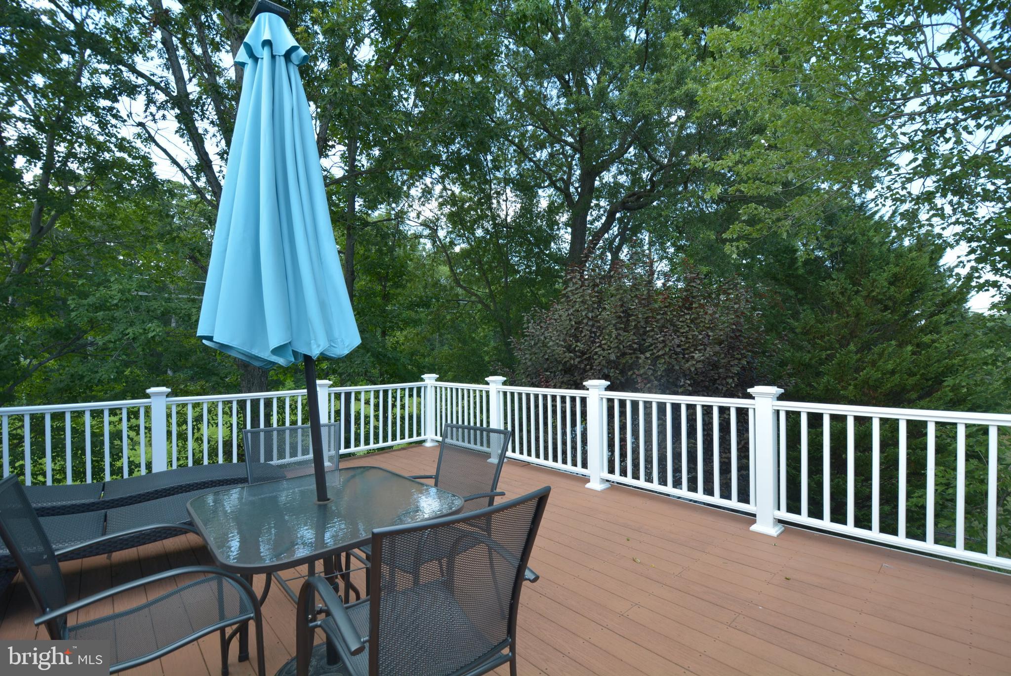 7905 Frye Road Alexandria, VA 22309 - Photo 53 of 55 PRIVATE DECK FOR ENTERTAINING