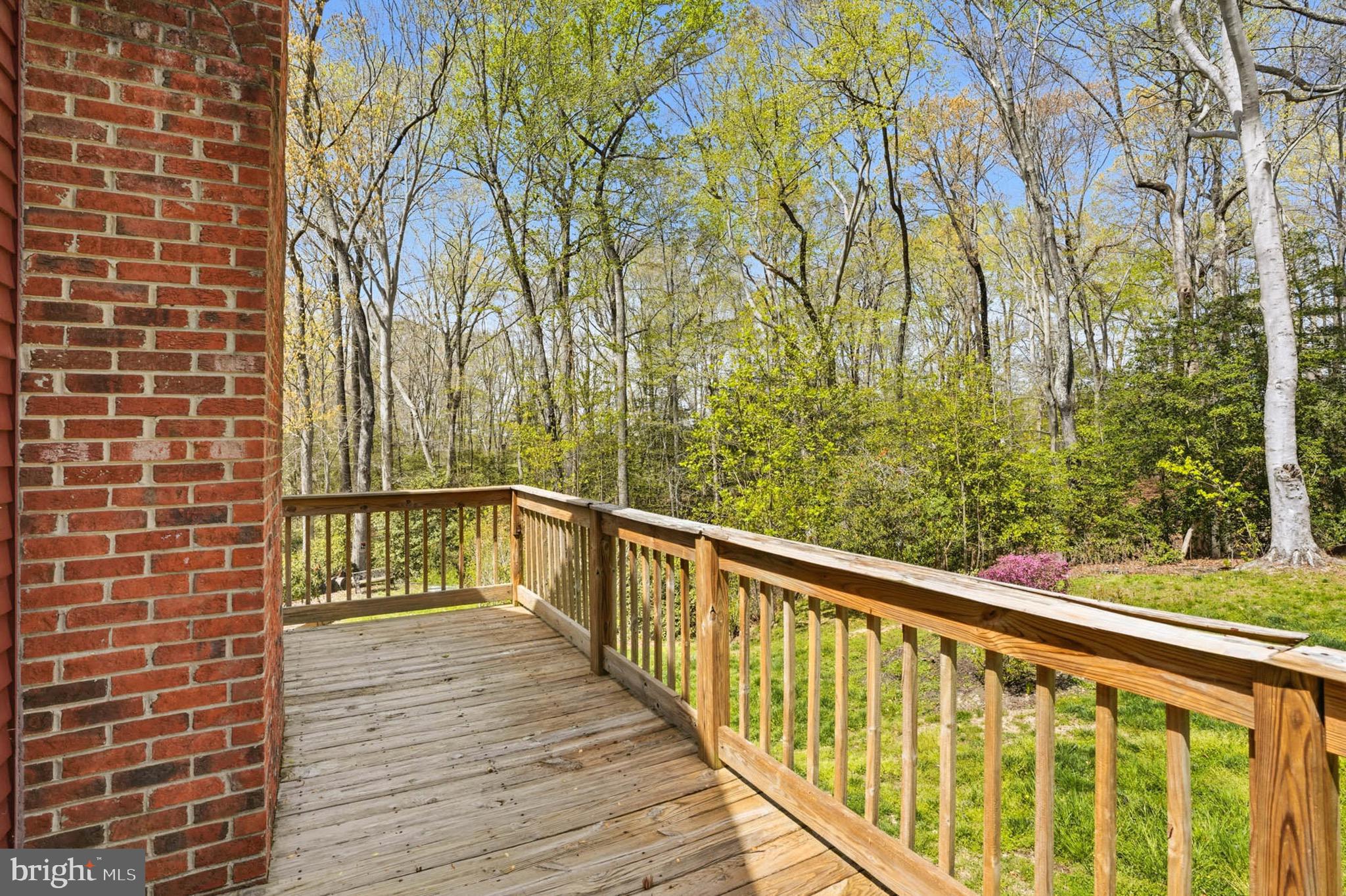 10401 3 Doctors Road Dunkirk, MD 20754 - Photo 50 of 62