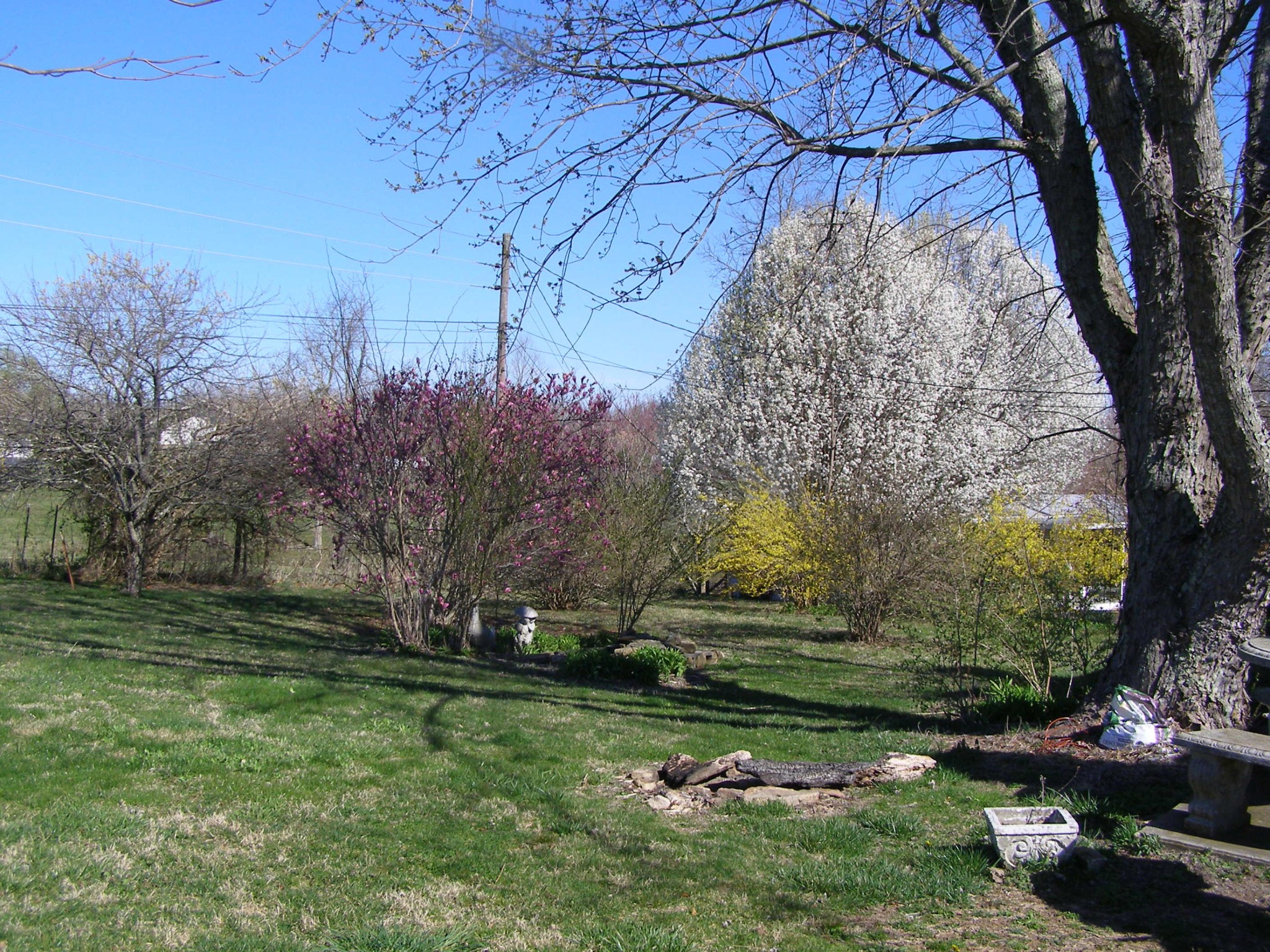 2781 Pigeon Ridge Road Crossville, TN 38555 - Photo 14 of 39 Gallery Image 14
