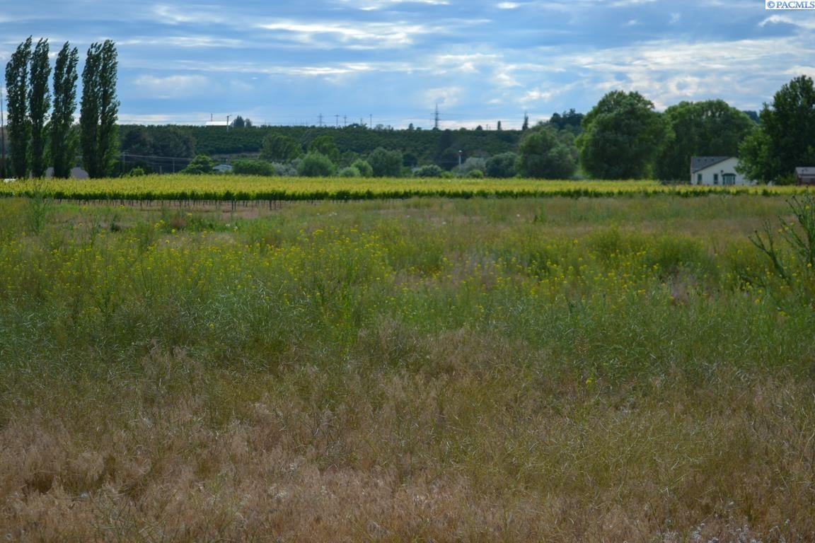 Tbd North Gust Road Benton City, WA 99320 - Photo 11 of 16 Gallery Image 11