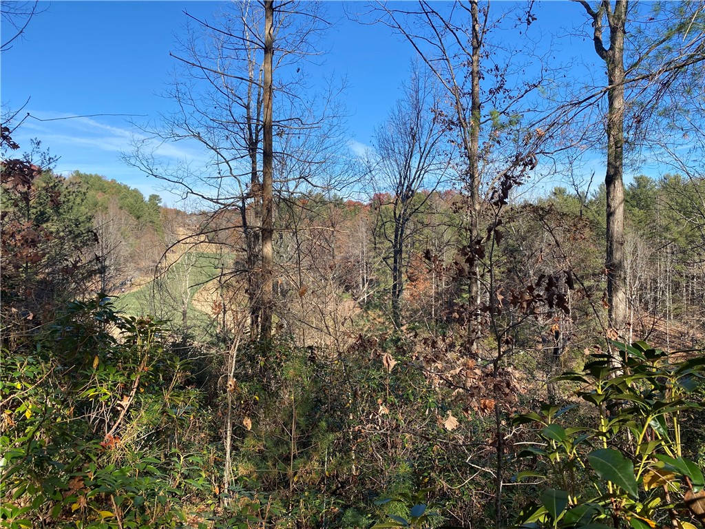120 Course View Way Sunset, SC 29685 - Photo 3 of 12