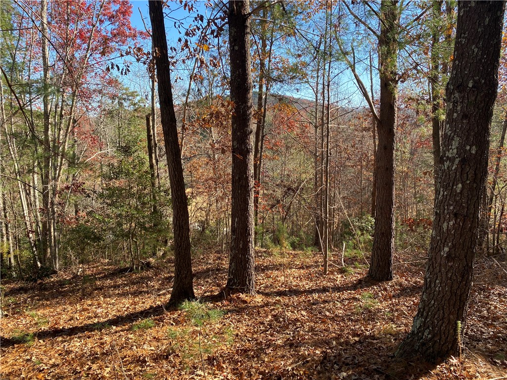 120 Course View Way Sunset, SC 29685 - Photo 8 of 12