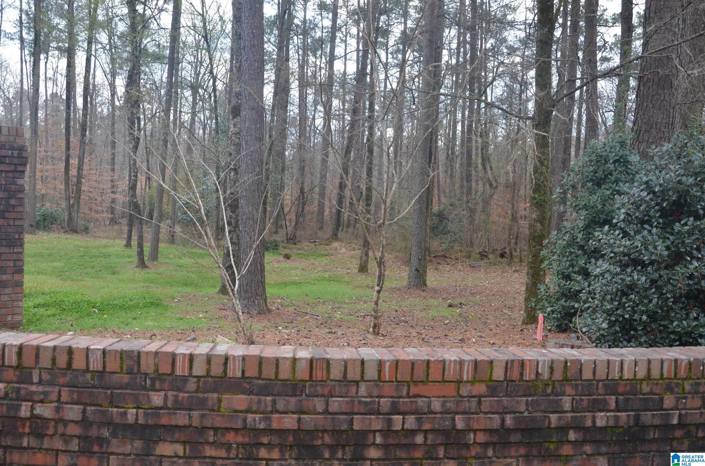 0 Settlers Ridge Alabaster, AL 35007 - Photo 5 of 19