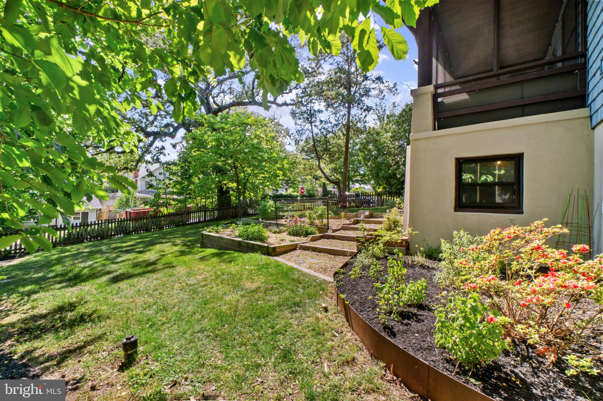 2900 Rueckert Avenue Baltimore, MD 21214 - Photo 34 of 40 a view of a backyard with potted plants and large tree