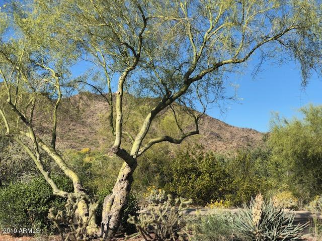 21230 West Almeria Road Buckeye, AZ 85396 - Photo 23 of 24 IMG_6217