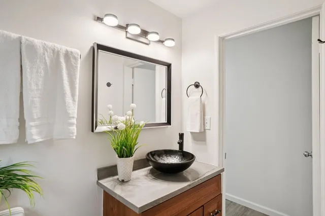 a bathroom with a sink a potted plant and a mirror