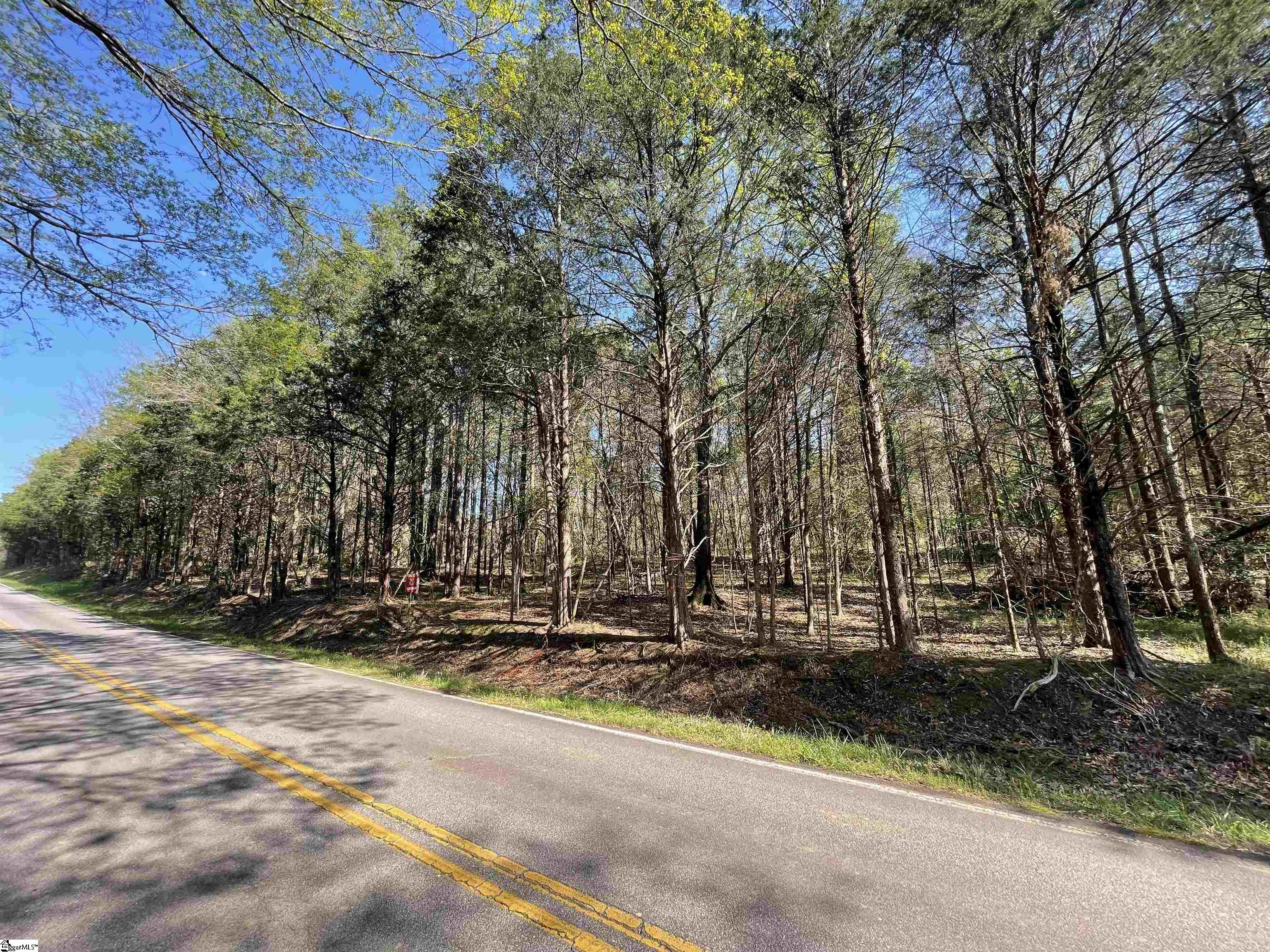 0 Neely Ferry Road Waterloo, SC 29384 - Photo 11 of 13