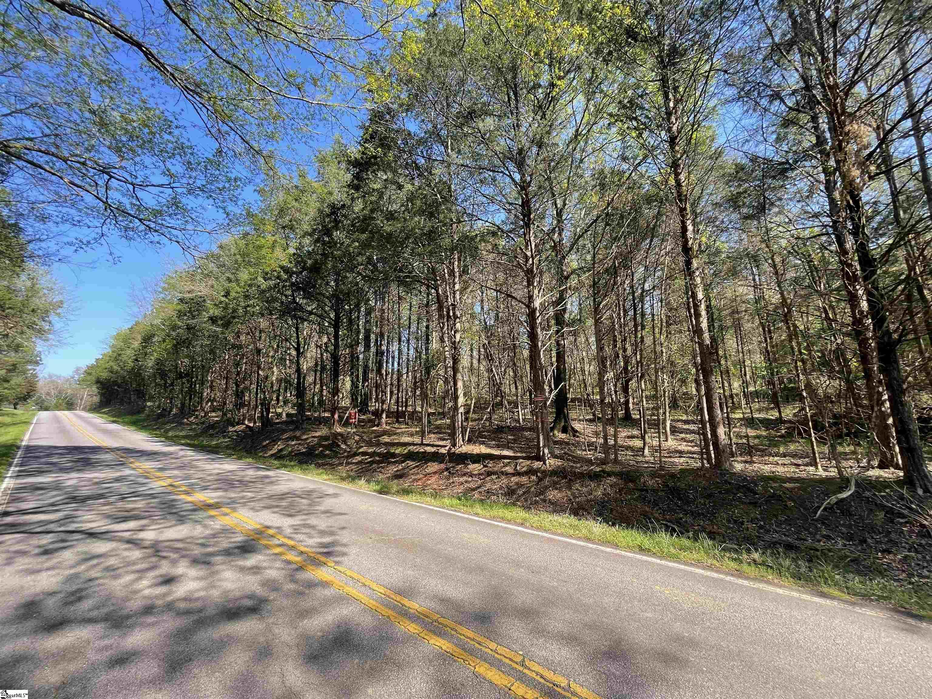 0 Neely Ferry Road Waterloo, SC 29384 - Photo 12 of 13