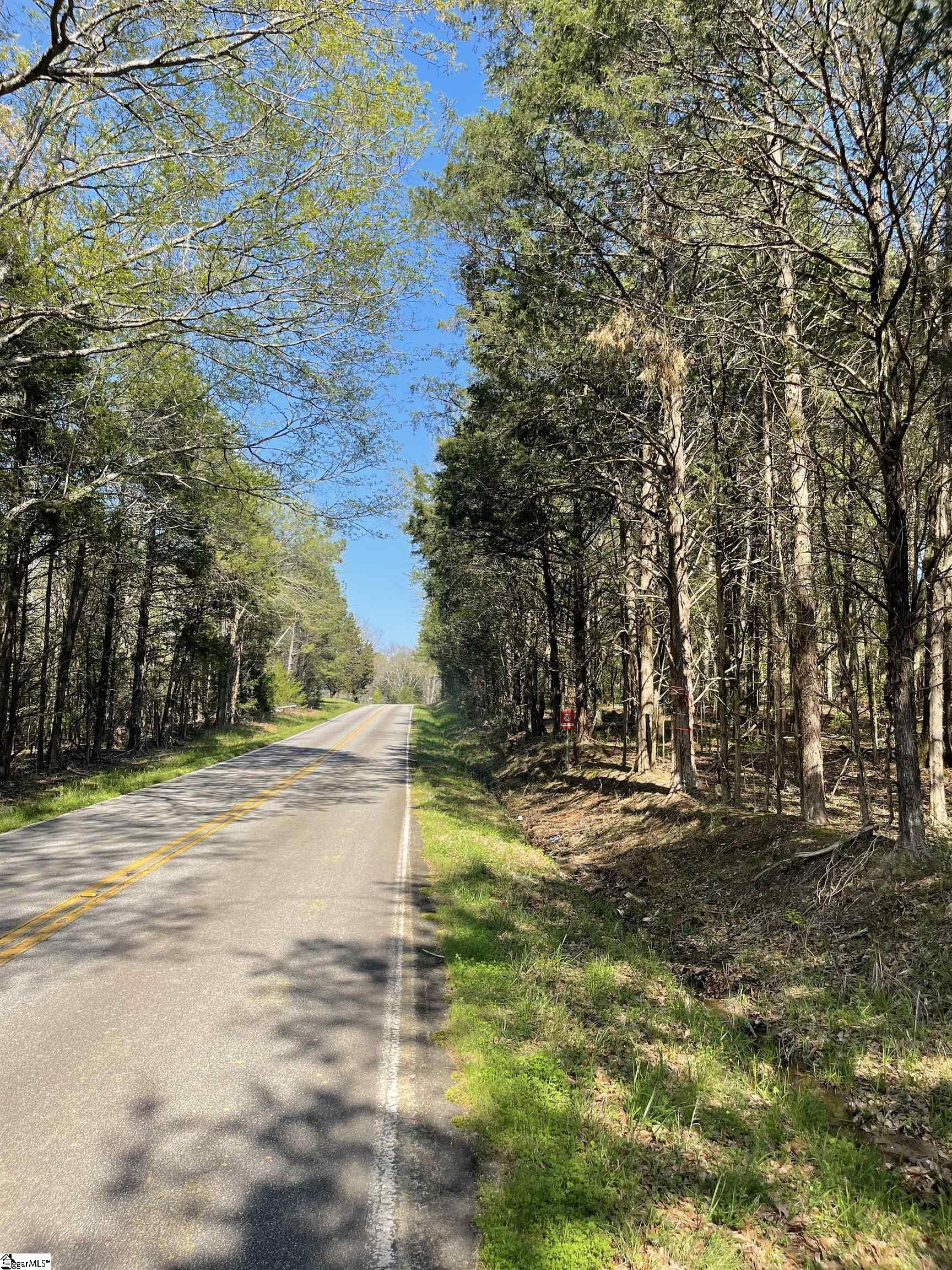 0 Neely Ferry Road Waterloo, SC 29384 - Photo 13 of 13