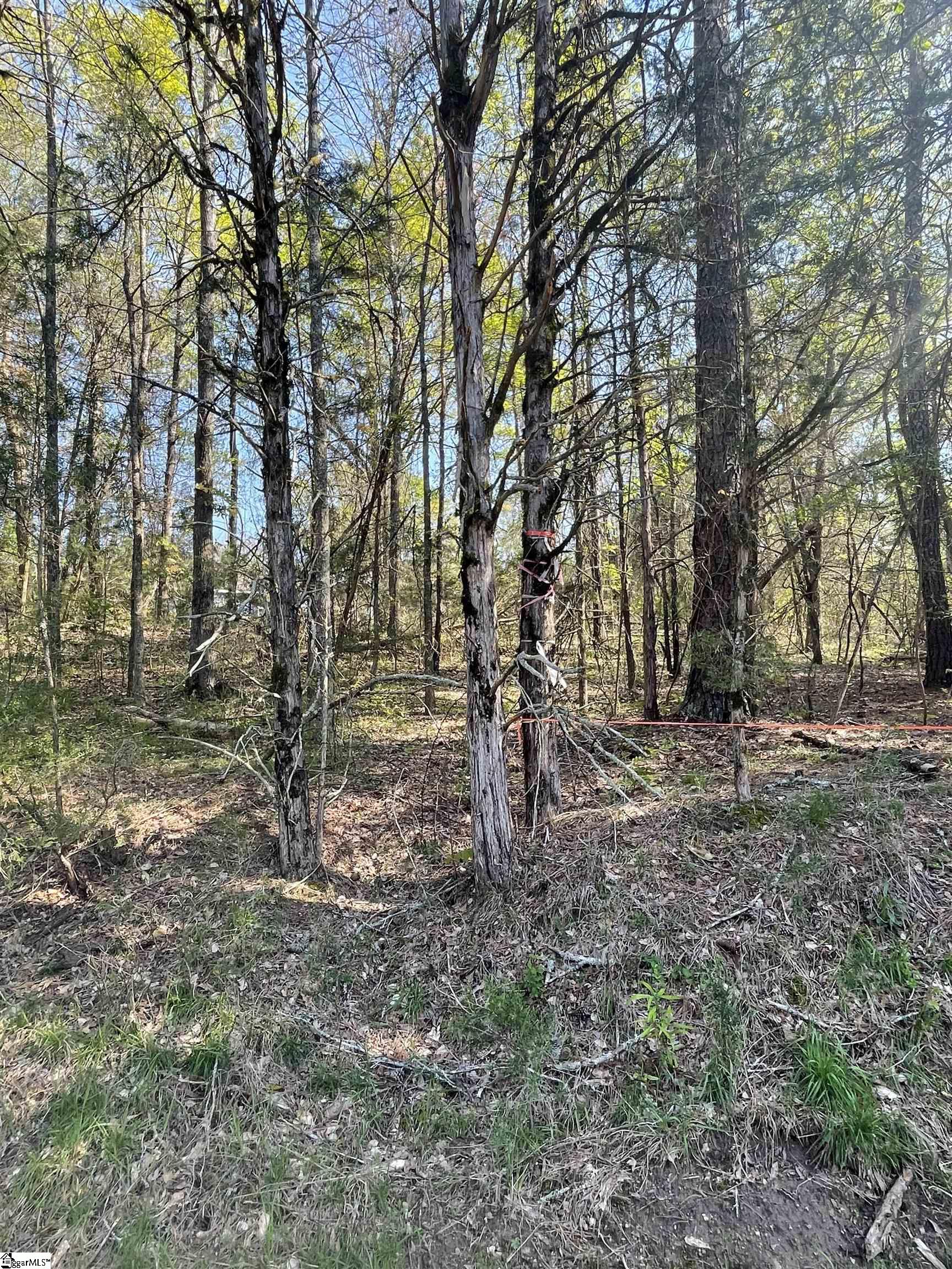 0 Neely Ferry Road Waterloo, SC 29384 - Photo 3 of 13