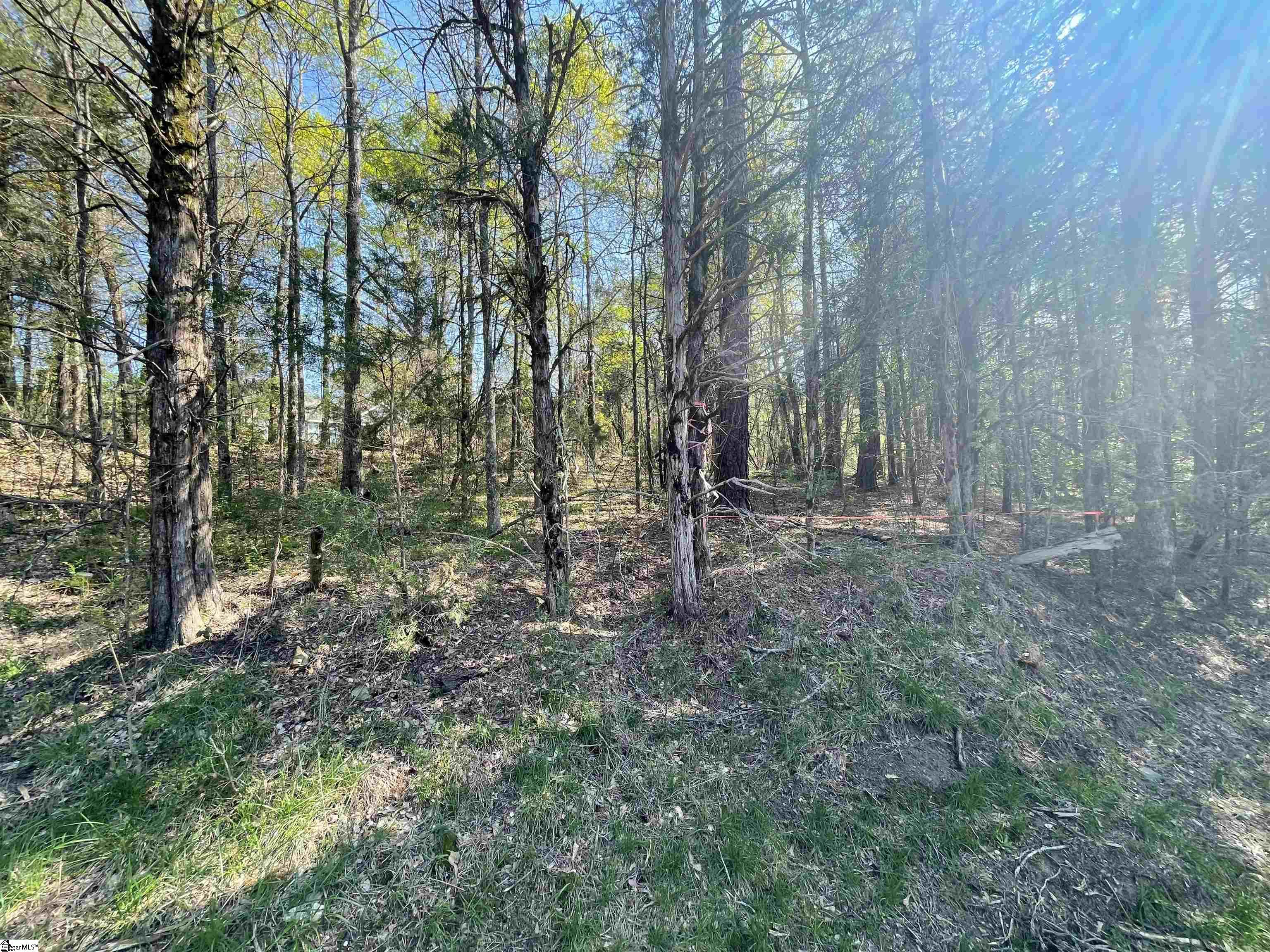 0 Neely Ferry Road Waterloo, SC 29384 - Photo 4 of 13