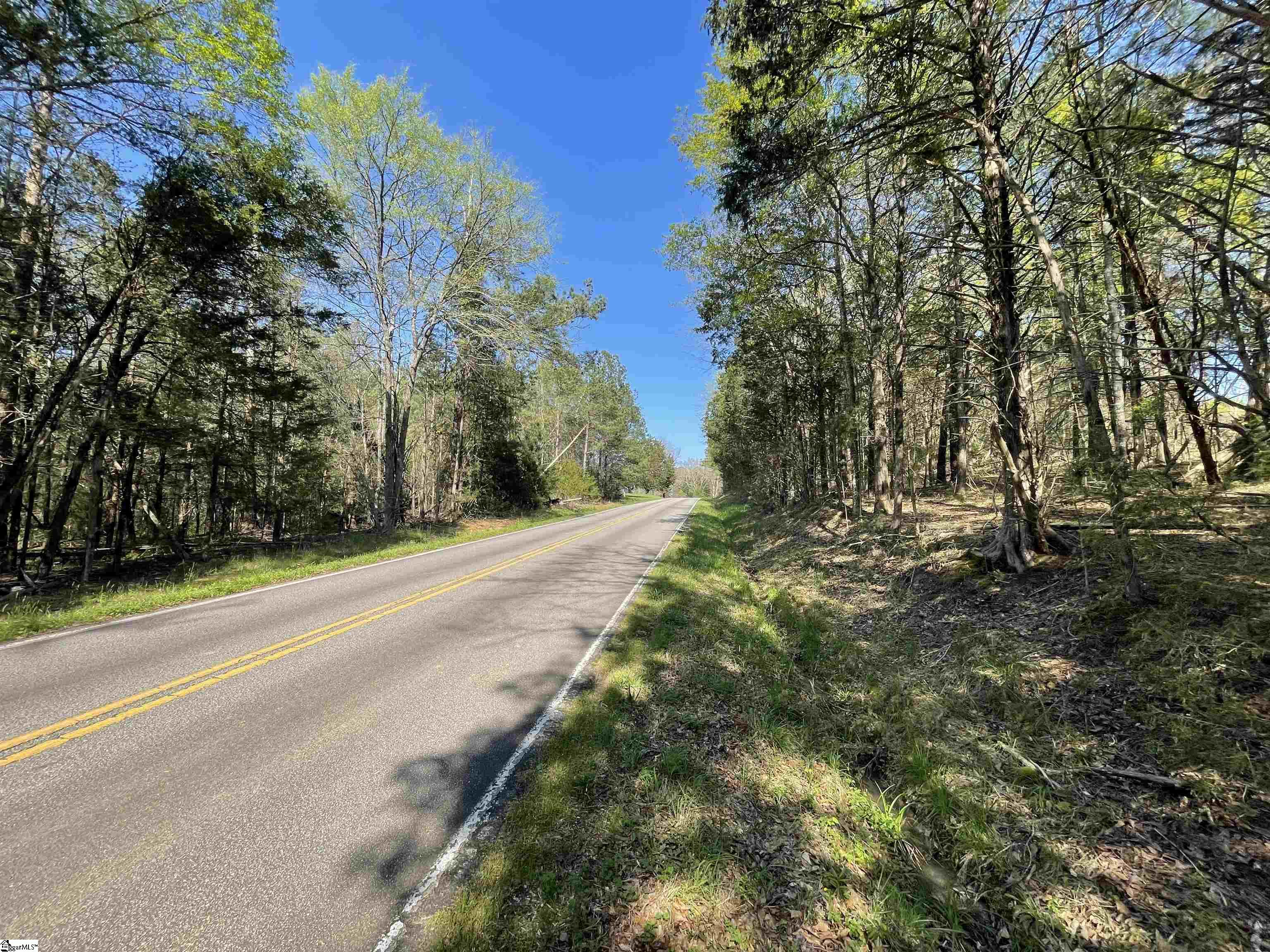 0 Neely Ferry Road Waterloo, SC 29384 - Photo 5 of 13