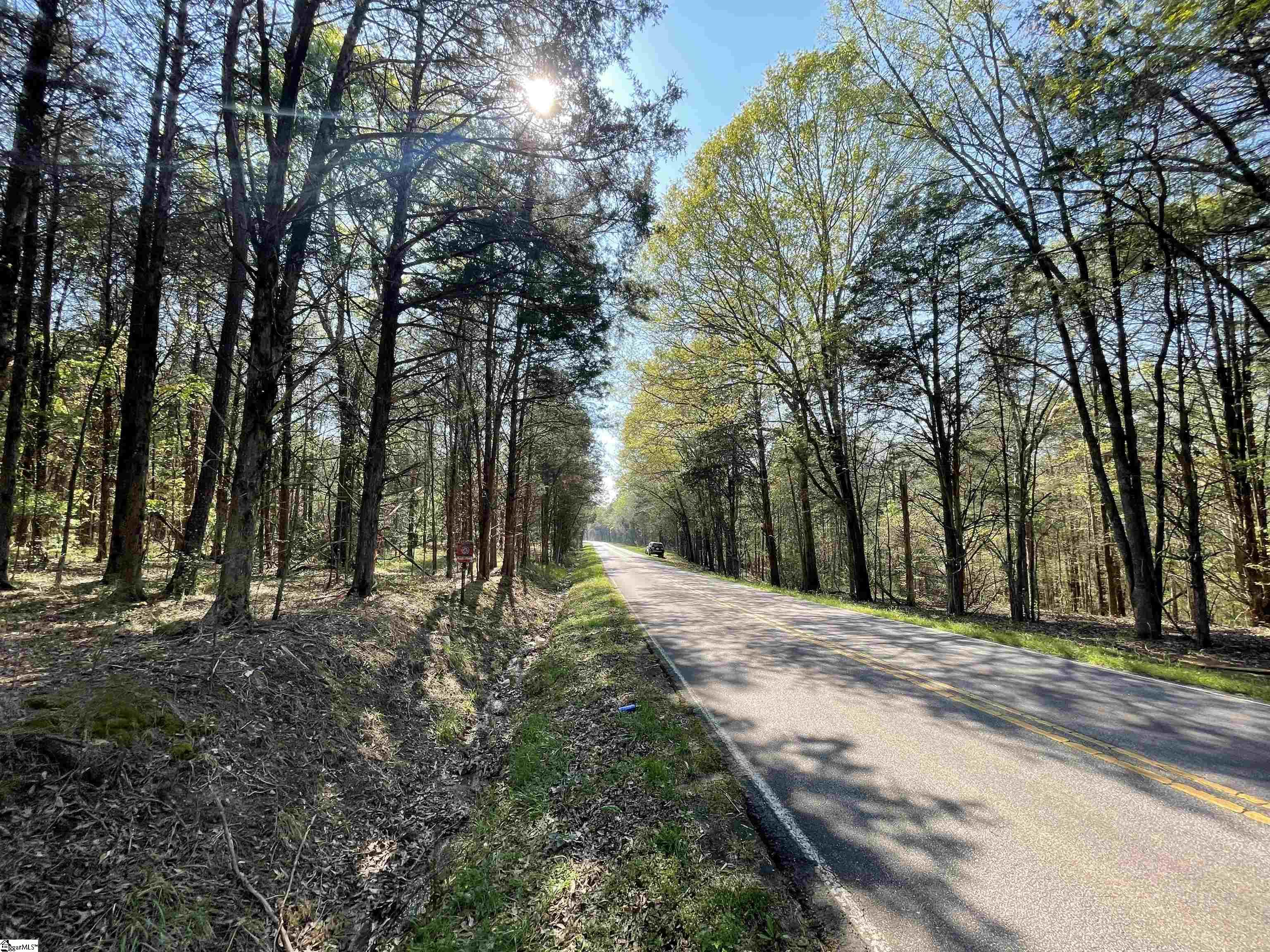 0 Neely Ferry Road Waterloo, SC 29384 - Photo 6 of 13