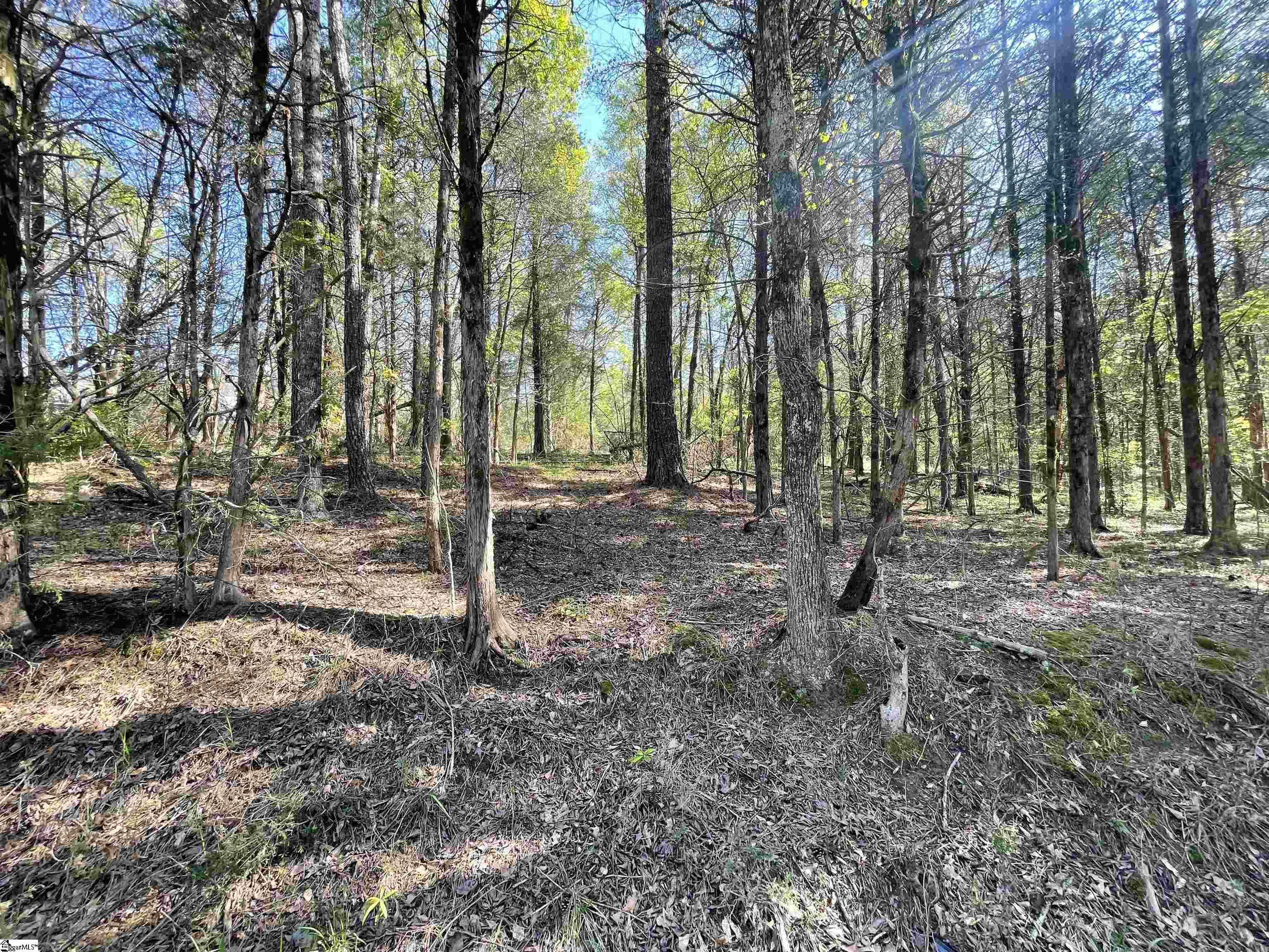 0 Neely Ferry Road Waterloo, SC 29384 - Photo 8 of 13