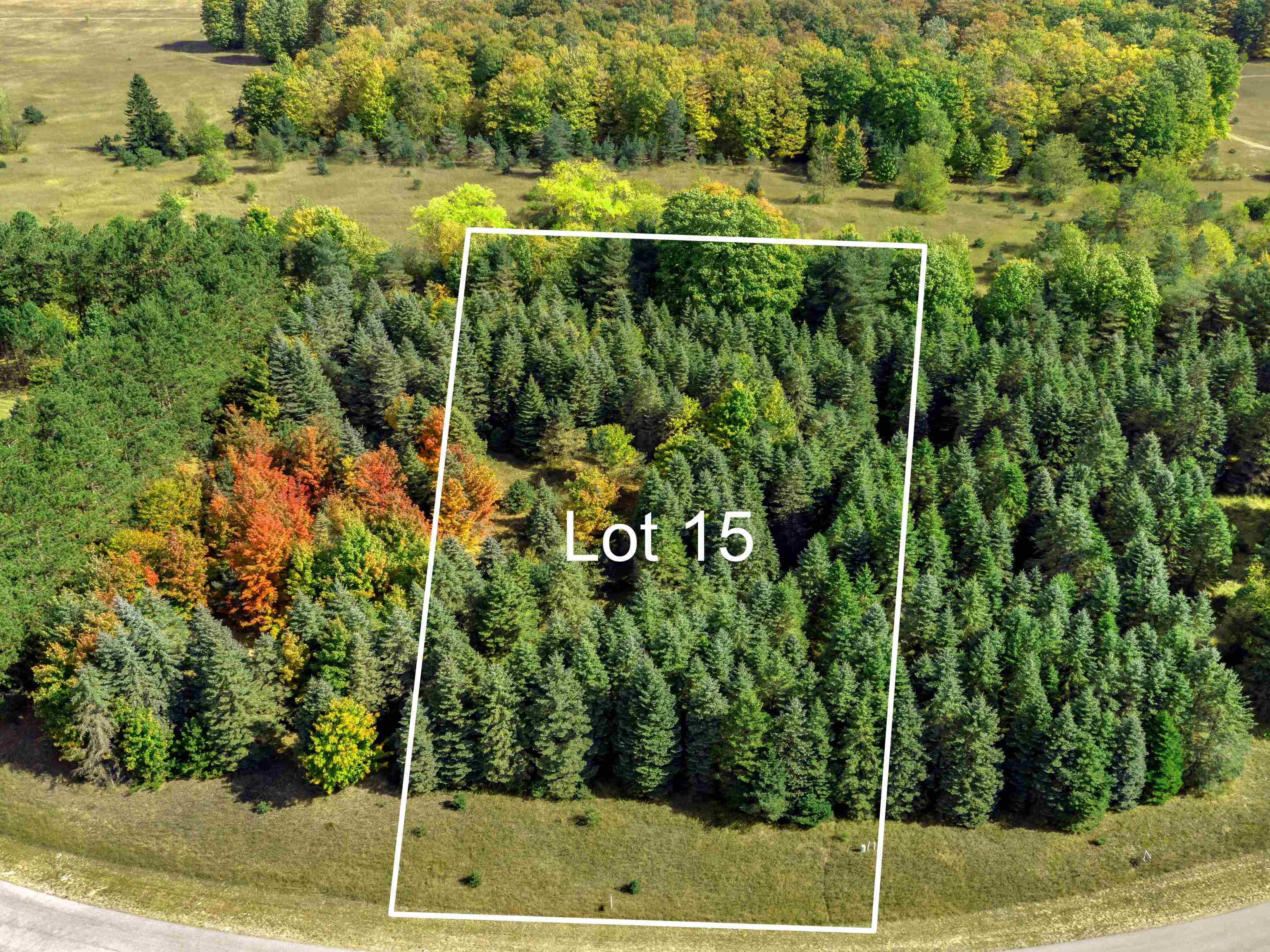 Lot 15 Lipp Farm Road Benzonia, MI 49616 - Photo 1 of 11 Gallery Image 1