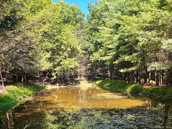 a view of a lake with houses