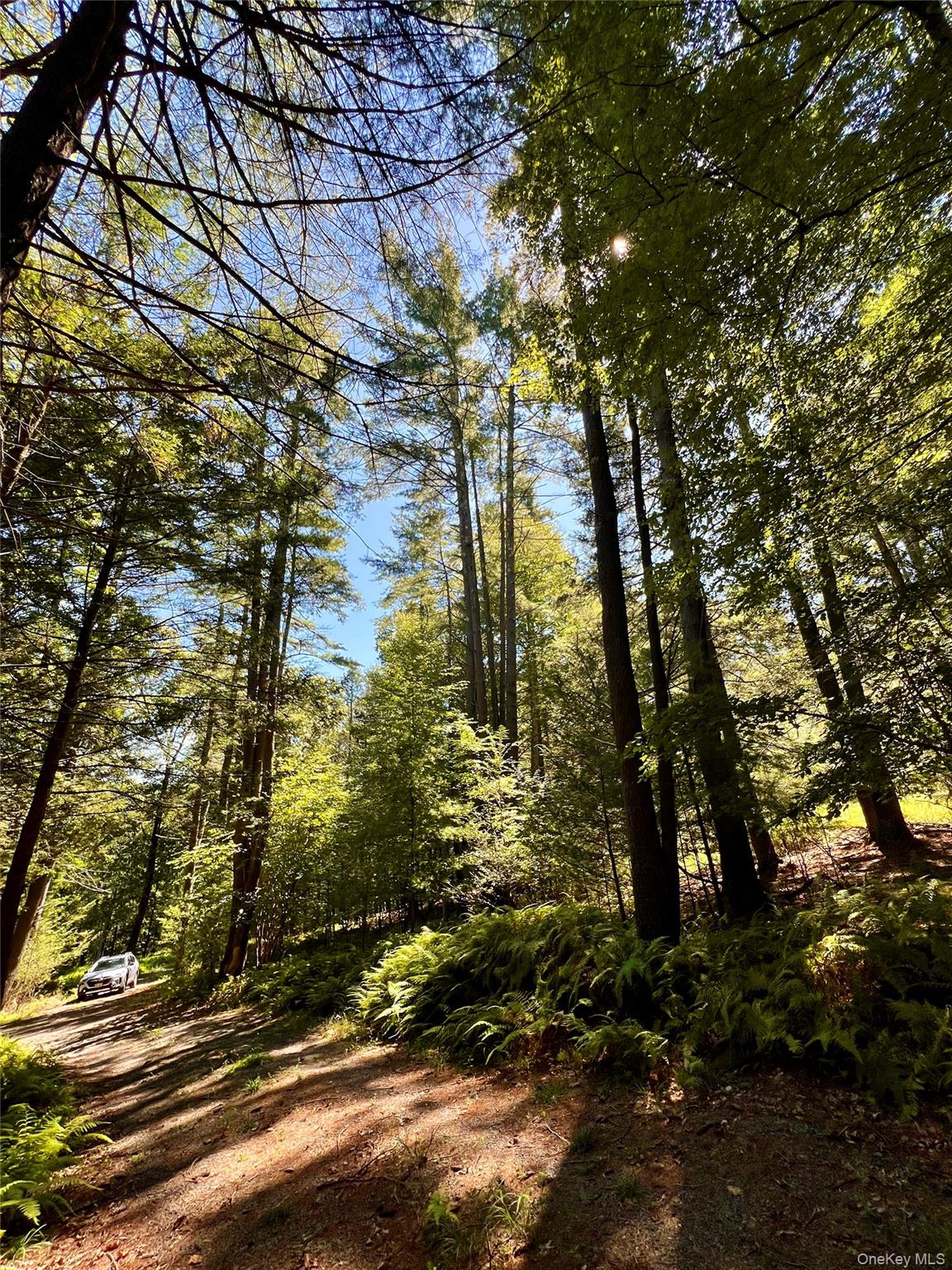 Swanerbury Road Lumberland, NY 12737 - Photo 12 of 20