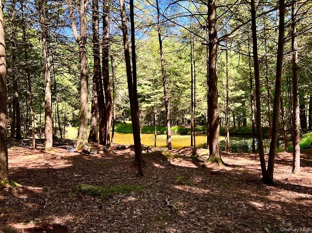 Swanerbury Road Lumberland, NY 12737 - Photo 13 of 20 a view of park