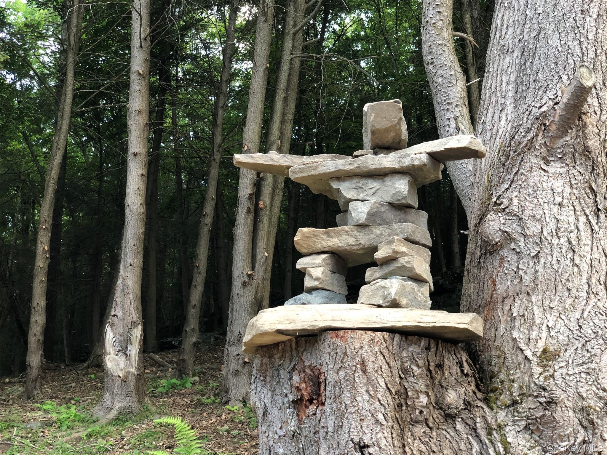 Swanerbury Road Lumberland, NY 12737 - Photo 14 of 20