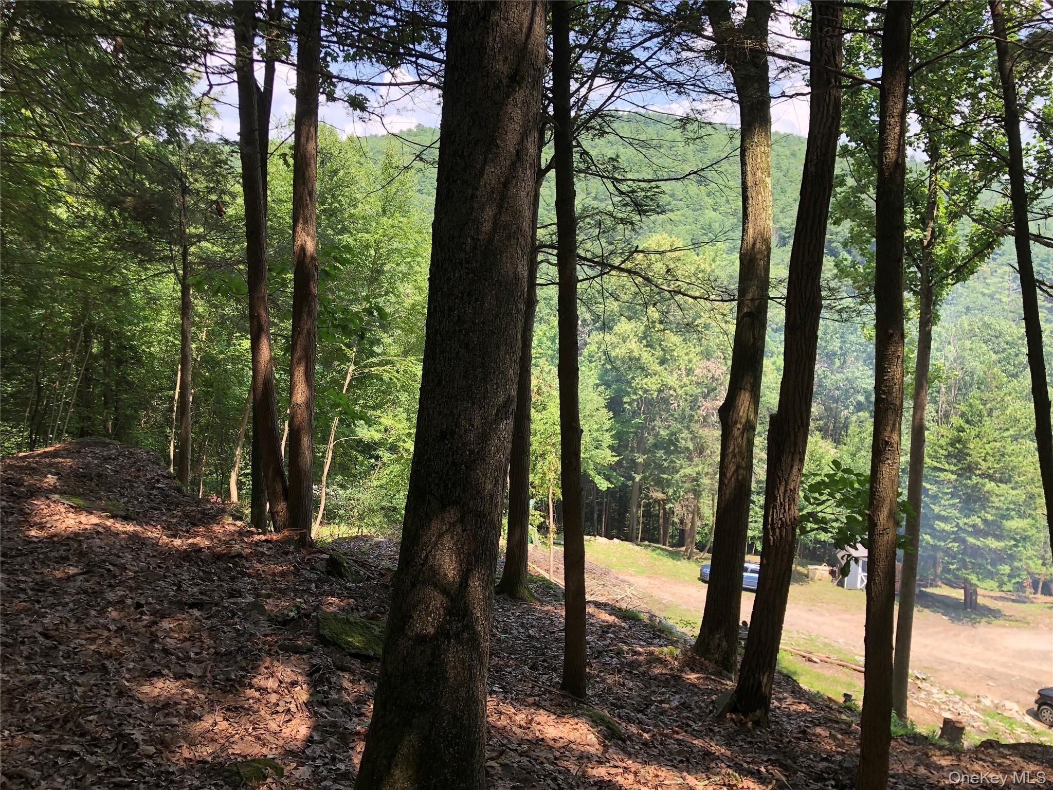 Swanerbury Road Lumberland, NY 12737 - Photo 15 of 20