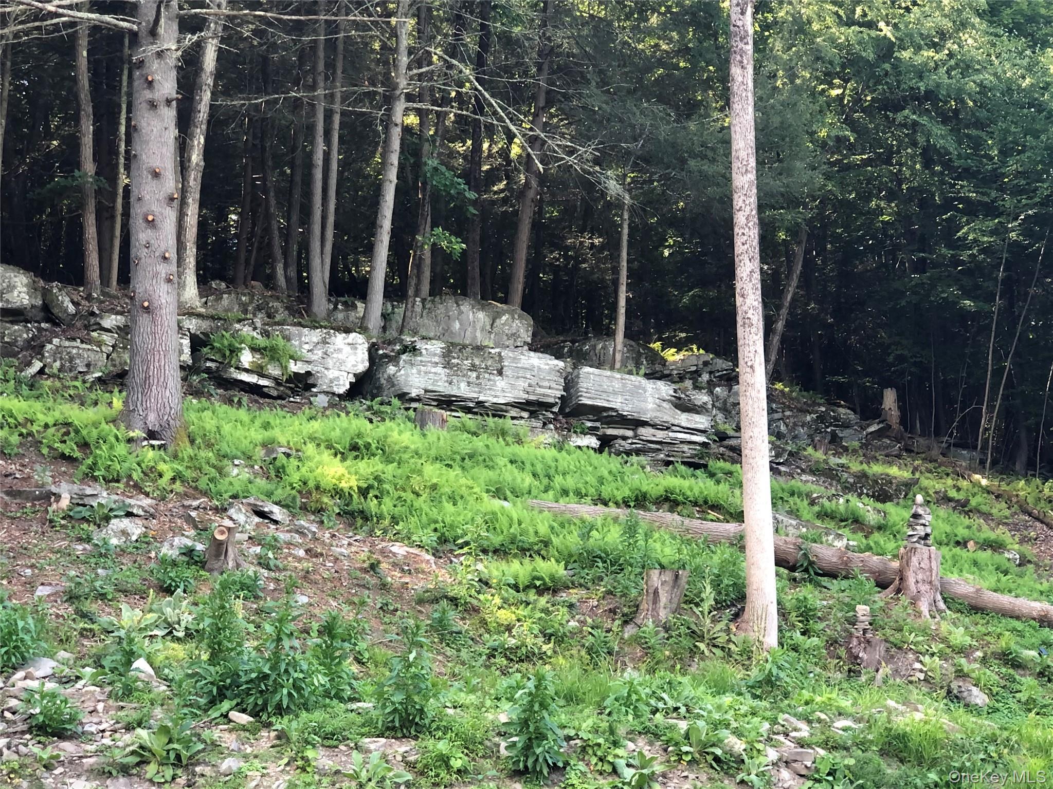 Swanerbury Road Lumberland, NY 12737 - Photo 17 of 20