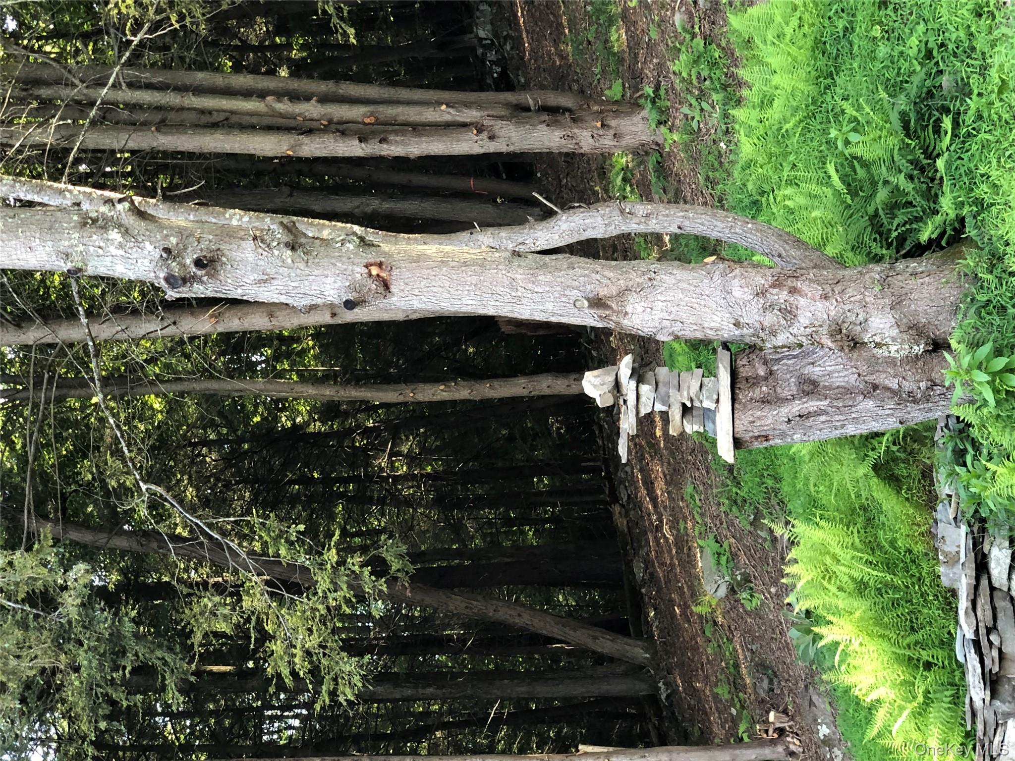 Swanerbury Road Lumberland, NY 12737 - Photo 18 of 20