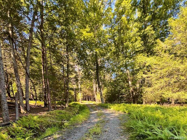 Swanerbury Road Lumberland, NY 12737 - Photo 2 of 20 a view of yard with green space