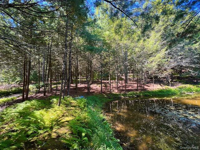 Swanerbury Road Lumberland, NY 12737 - Photo 3 of 20 a garden view with a sitting space
