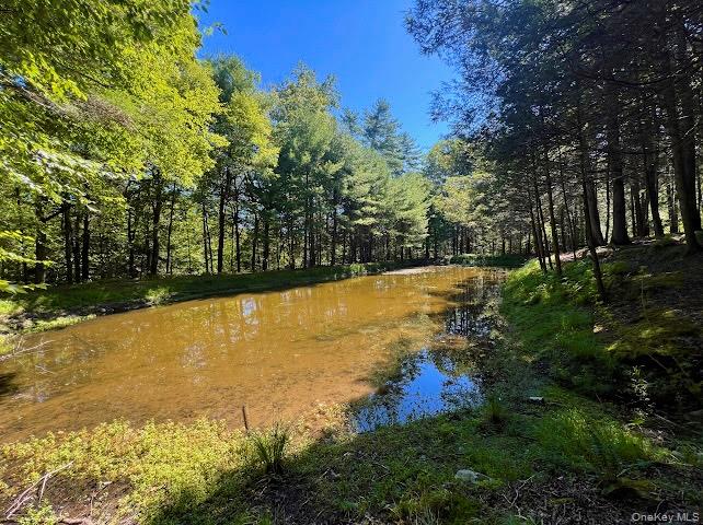 Swanerbury Road Lumberland, NY 12737 - Photo 5 of 20 a view of an outdoor space and swimming pool