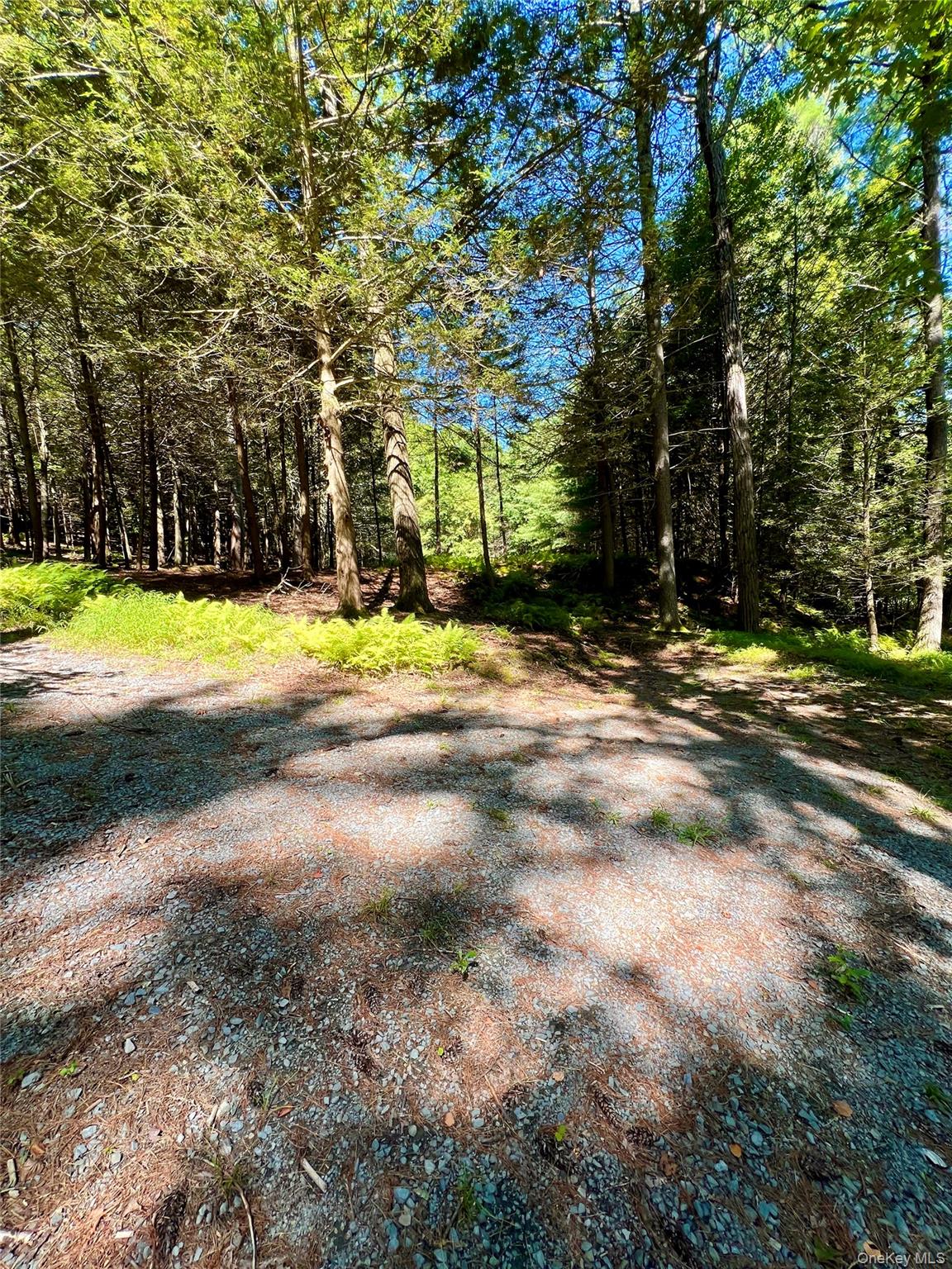 Swanerbury Road Lumberland, NY 12737 - Photo 10 of 20 a view of road with large trees