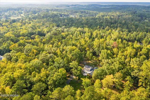 a view of a city with lush green forest