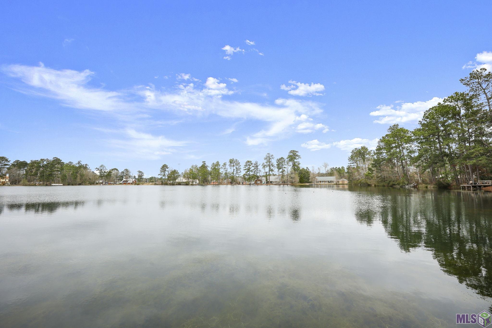26903 Jill Road Holden, LA 70744 - Photo 24 of 27