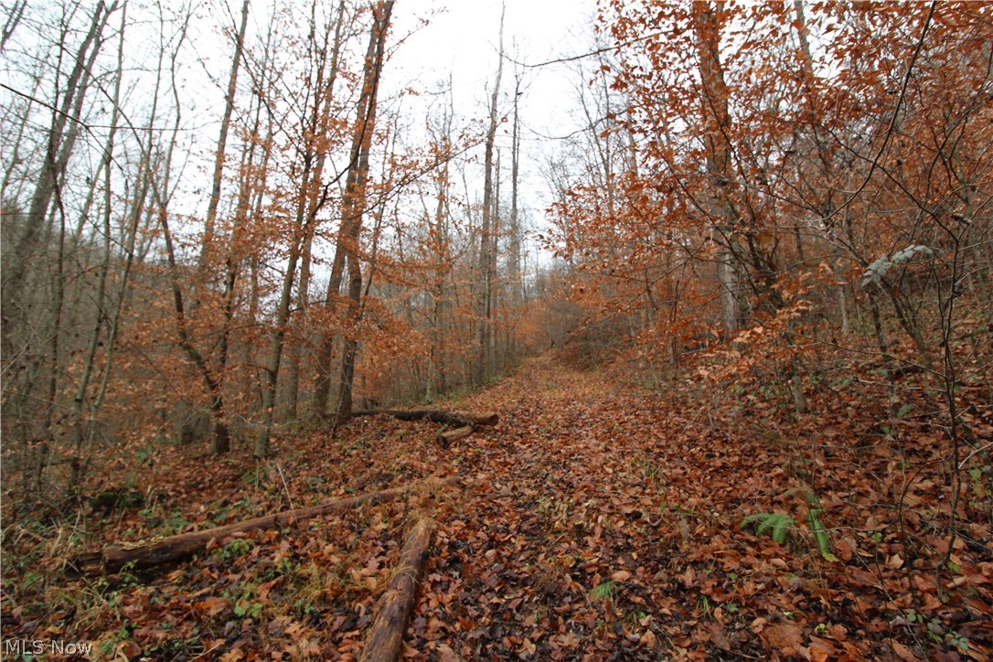 Wilson Run Road New Matamoras, OH 45767 - Photo 8 of 34 Gallery Image 8