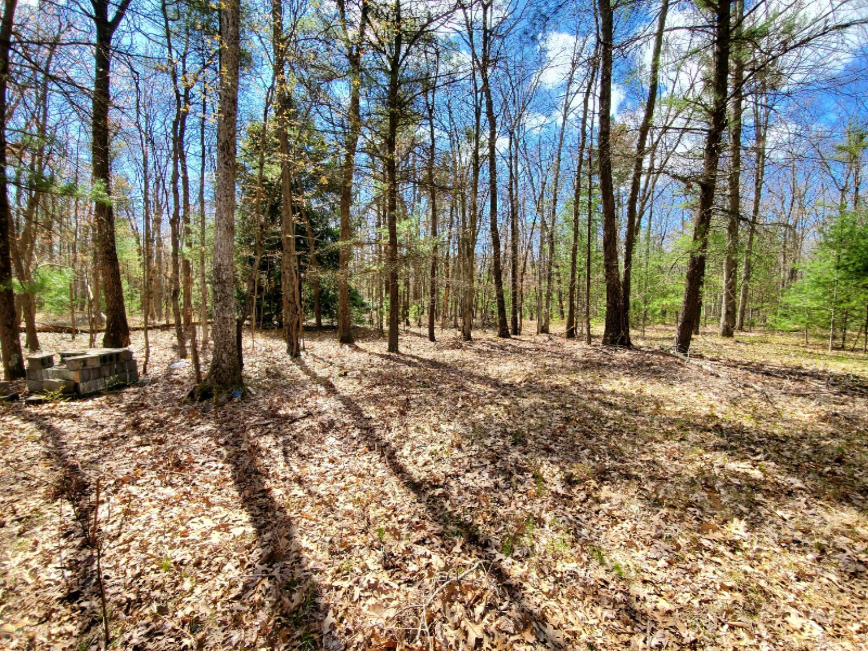 2545 Orshal Road Muskegon, MI 49445 - Photo 42 of 46 20200508_153953